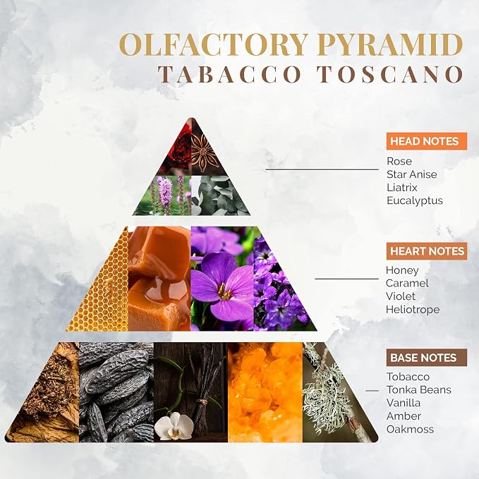 Logevy Firenze 1965 Tabacco Toscano – Tuscan Tobacco Luxury Home Fragrance Spray from Master Perfumer in Italy with Sweet Musky Notes to Captivate The Senses & Enliven Any Room – 100ml
