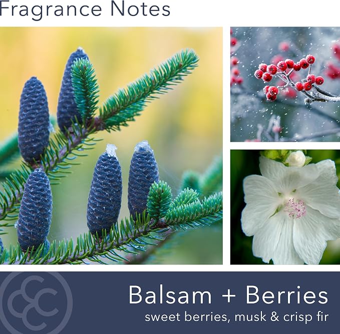 Colonial Candle Balsam & Berries Scented Candle, 2-Wick Natural Soy Blend Wax Candle Infused with Essential Oils, 14 oz Apothecary Glass Jar Candle - Made in The USA