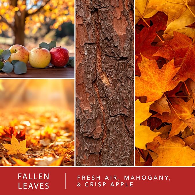 Scentsationals Wax Melts Strong Scent - Fallen Leaves - Long Lasting Scented Melts for Warmers, 10oz (24-Cubes)