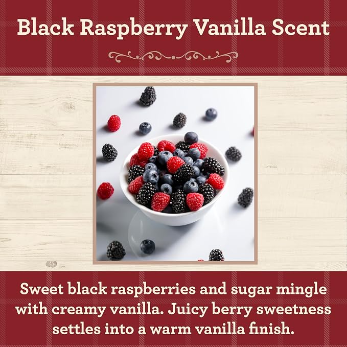Our Own Candle Company Black Raspberry Vanilla Scented Mason Jar Candle, 100 Hour Burn Time, 13 Ounces