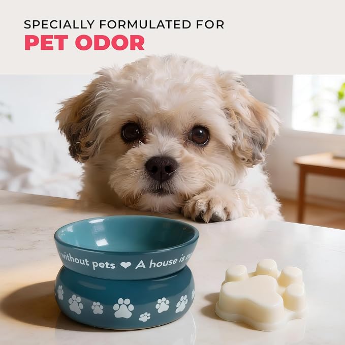 One Fur All Pet House Spring and Summer Wax Melts for Pet Odor, Natural, Plant Based Soy Wax Melts, Long Lasting Fragrance for Fresh Smelling Homes, Fresh Cut Roses