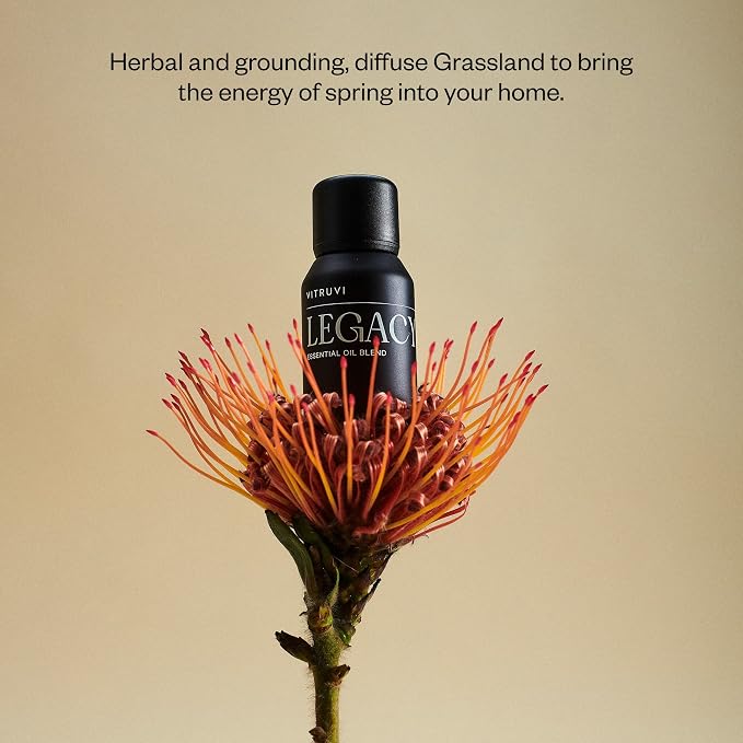 Vitruvi Legacy Woodsy Essential Oil Blend with Rose, Bergamot, Frankincense, Cedarwood