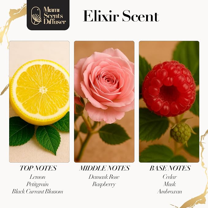 Elixir Bliss Essential Oil Refill Luxury Hotel Inspired - Long Lasting Aroma for Home & Commercial Diffuser - 120 ml Fresh Blend of Vanilla and Amber, Scent for Office Spa Wellness Aromatherapy.