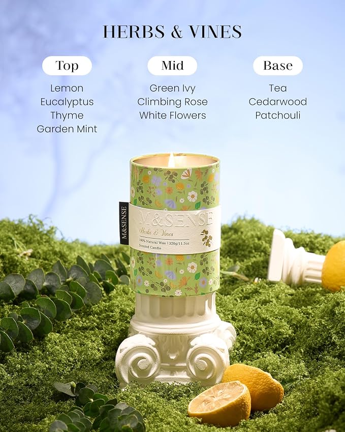 M&SENSE Spring Candle 11.3 oz,Herbs Vines Scented Candle, Non-Toxin Soy Wax for Home Scented, Floral Candles Gift for Women,Up to 70 Hours Burning Long-Lasting Fragrance