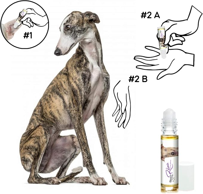 The Blissful Dog Greyhound Relax Roll-ON Aromatherapy for Dogs - Anxiety Relief for Dogs