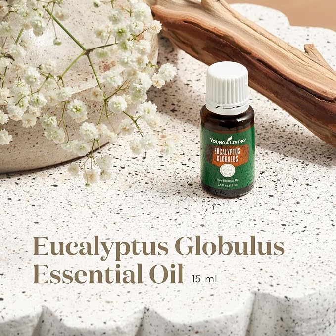 Young Living Eucalyptus Globulus Essential Oil | Cooling, Refreshing Aroma for Diffusion & Massage | Supports Breathing Comfort & Relaxation | Premium Seed to Seal® Quality Oil | 15ml