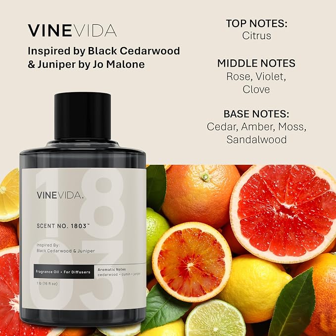 VINEVIDA [16 Oz] Inspired by: Black Cedarwood & Juniper; Diffuser Oil Refill | Premium Scent Diffuser Oil for Home | Non-Toxic Fragrance