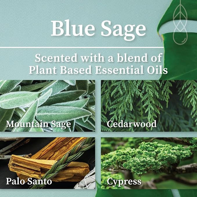 Hemlock Park Blue Sage Apothecary Scented Candle | Crackling Wood Wick, Botanical Fragrance & Coconut Apricot Wax | Up to 80 Hour Burn Time | 16 oz | Made in USA