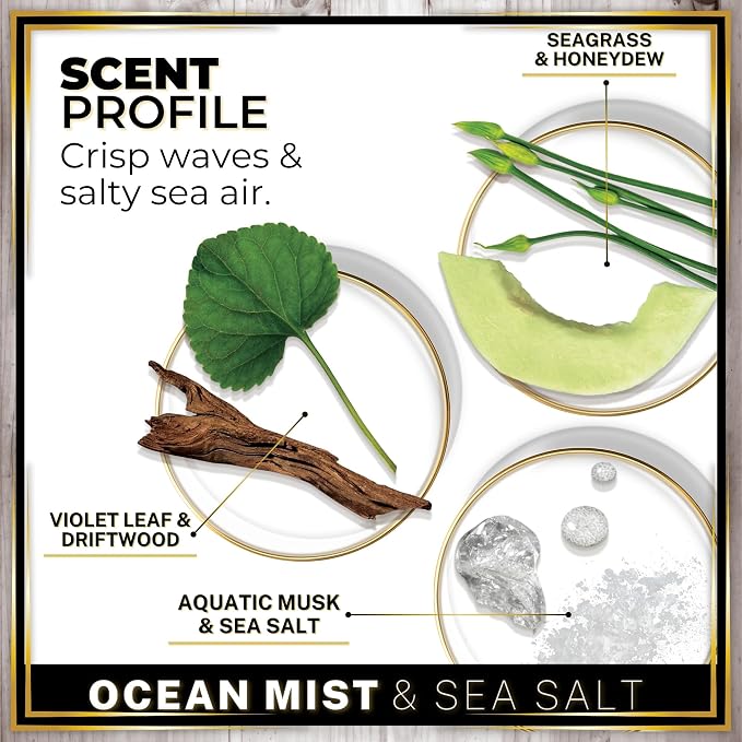 Urban Naturals Car Air Freshener Diffuser 3 Pack - Ocean Mist & Sea Salt Scent, 45+ Days Long Lasting Fragrance, Made in USA, Glass & Wood, Hanging Design + Vent Cip, Easy to Use
