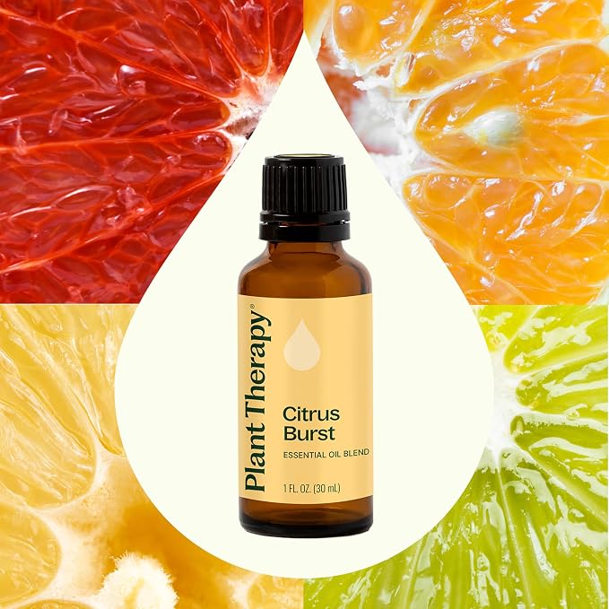 Plant Therapy Citrus Burst Essential Oil Blend, 30 mL (1 oz), Made with 100% Pure Essential Oils, Uplifting and Bright Scent, Great for Essential Oil Diffusers
