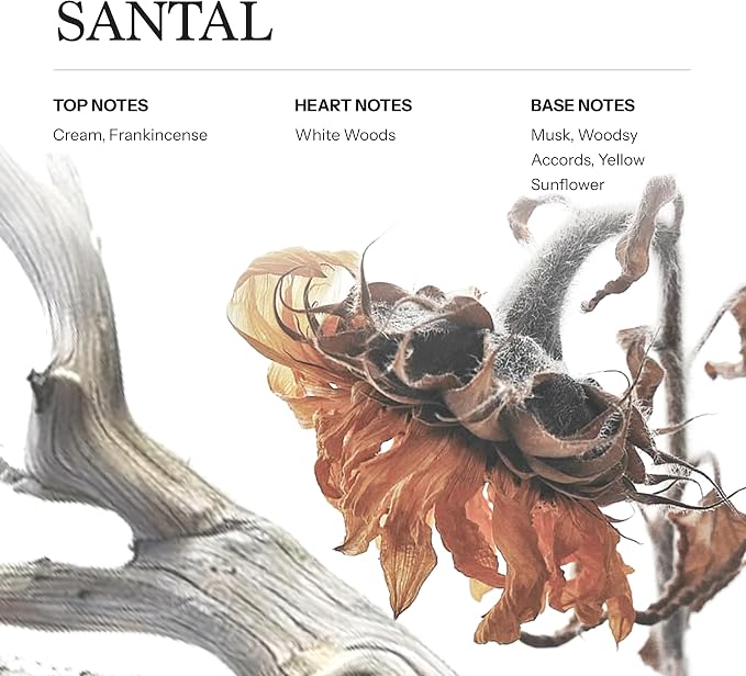 Santal Hotel Diffuser Oil, 100ml, 3.38 oz Aroma Oil, Scent Inspired by 1 Hotels Miami, Luxurious Relaxing Aromatherapy Refill Fragrance for Waterless Cold Air Diffusers, Home, Office, Hotel