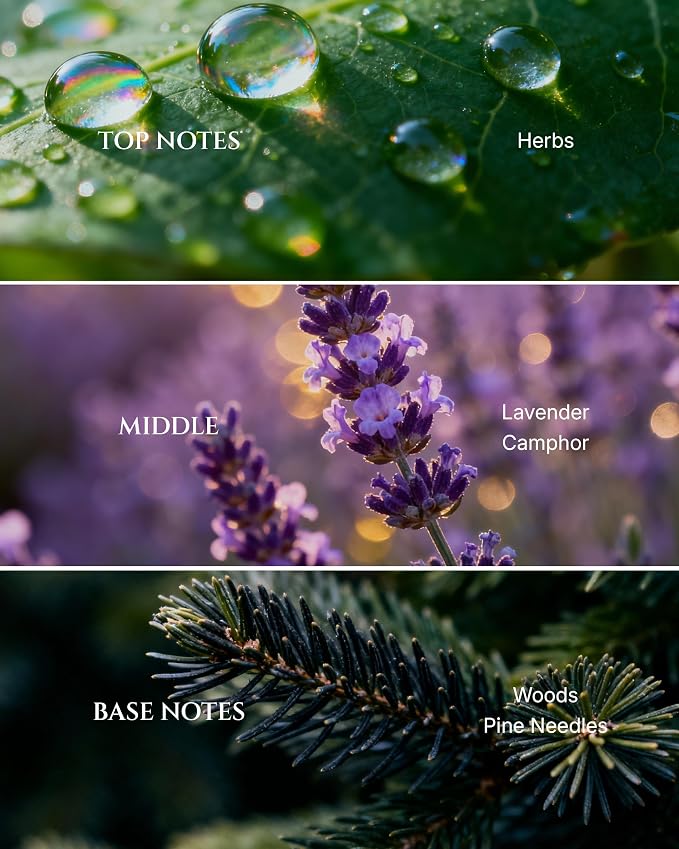 AROMADD Dream Diffuser Oil Inspired by Luxury Hotel Scent 6.76 Fl Oz (200ml), Aroma Diffuser & Hotel Fragrance Diffuser Oil, Essential Oil Diffuser for Aromatherapy, Long-Lasting