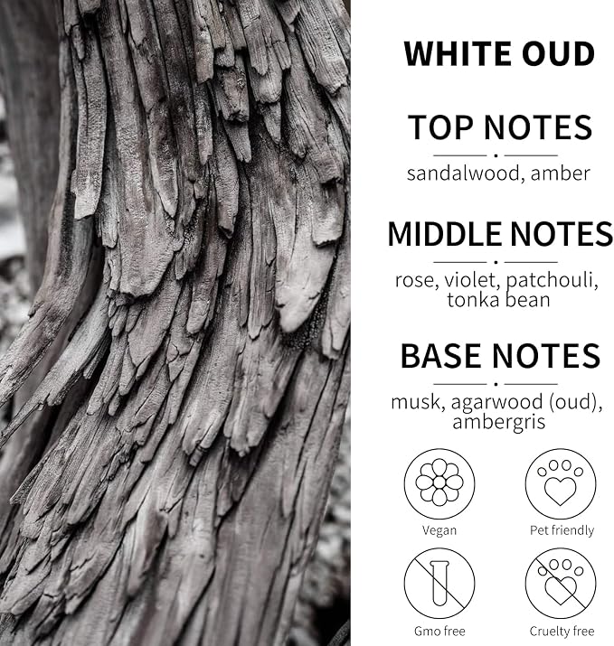 2-Pack Car Fresheners Long Lasting & Car Deodorizer - White Oud Hanging Car Air Freshener for Men and Women, Car Necessities & Scent Diffuser by VUTOLLOSA
