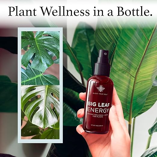 Neem Oil Spray for Plants – Big Leaf Energy, with Essential Oils – Ready-to-Use Plant Spray for Outdoor & Indoor Plants, Made in USA (4 fl oz)