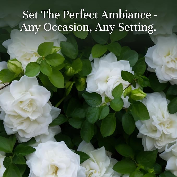 P&J Fragrance Oil Gardenia 30ml - Candle Scents, Soap Making, Diffuser Oil, Aromatherapy