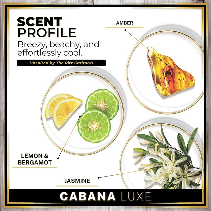 Urban Naturals Car Air Freshener Hanging + Vent Clip, Cabana Luxe Scent Diffuser, Long Lasting Car Fresheners Made in USA, Auto Accessories for women (1 Pack)