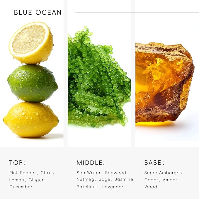 Hotel Diffuser Oil Blue Ocean Scent - Premium Fragrance Oil for Ultrasonic and Waterless Diffuser - 120 mL, 4 fl oz