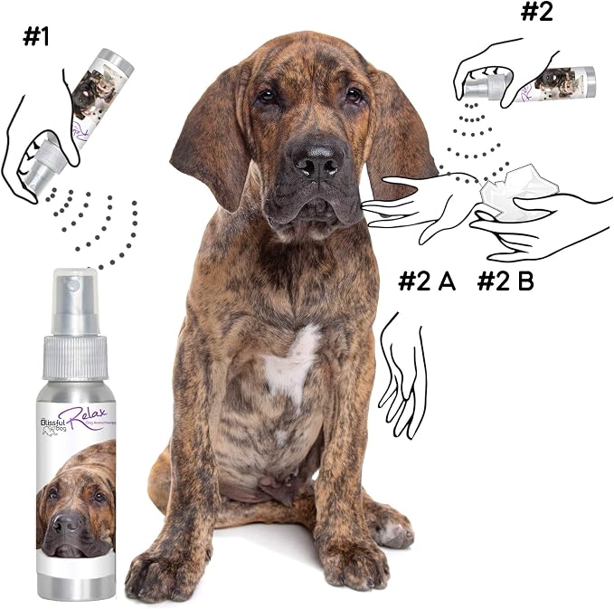 The Blissful Dog Fila Brasileiro Relax Dog Aromatherapy Spray for Your Dog's Anxiety