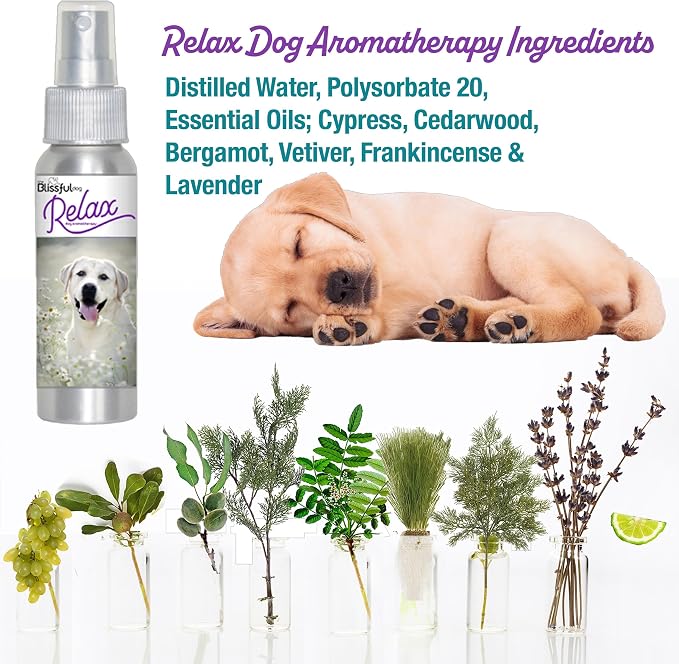 The Blissful Dog Labrador Retriever Relax Roll-ON Aromatherapy for Dogs