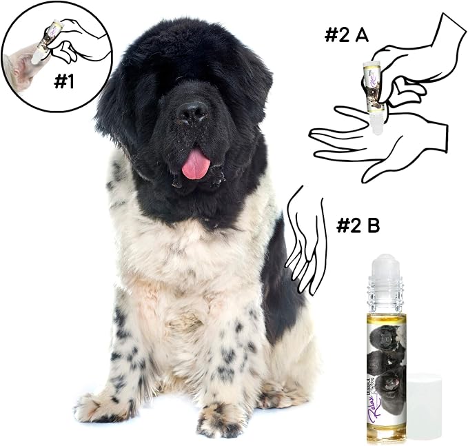 The Blissful Dog Newfoundland Relax Roll-ON Aromatherapy for Dogs - Anxiety Relief for Dogs