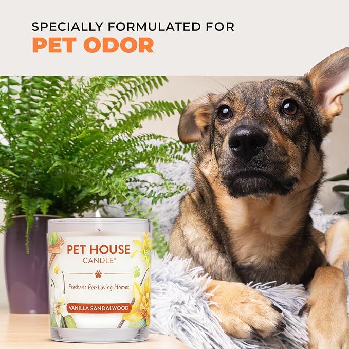 One Fur All Pet House Fall Candles, Long Lasting, Clean Burning, Soy Wax Scented Candles for Pet Odor, Orange Spice, 2 Pack