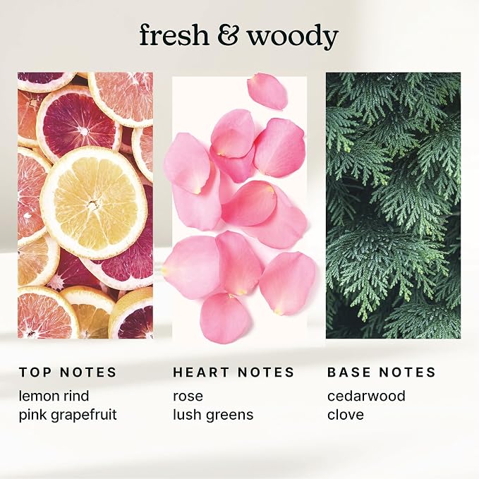 Homedics SereneScent Waterless Diffuser Oil Refill — Tokyo Tea (120ml). Clean, Safe, Bright & Refreshing Hotel-Inspired Home Fragrance. Compatible with SereneScent Diffusers. Easy Twist Plug & Play