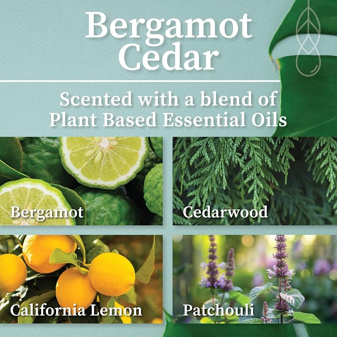 Hemlock Park Bergamot Cedar Amber & Gold Scented Candle | Crackling Wood Wick, Botanical Fragrance & Coconut Apricot Wax | Up to 70 Hour Burn Time | 14 oz | Made in USA