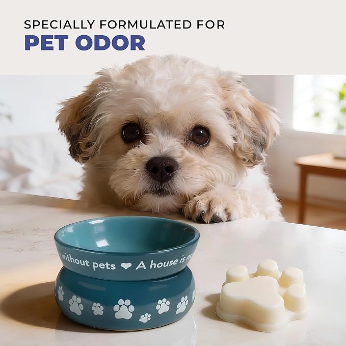 Pet House Wild Blueberries Summer Scented Wax Melts - Long-Lasting Plant Based/Soy Wax Melts for Pet Odor Pack of 2
