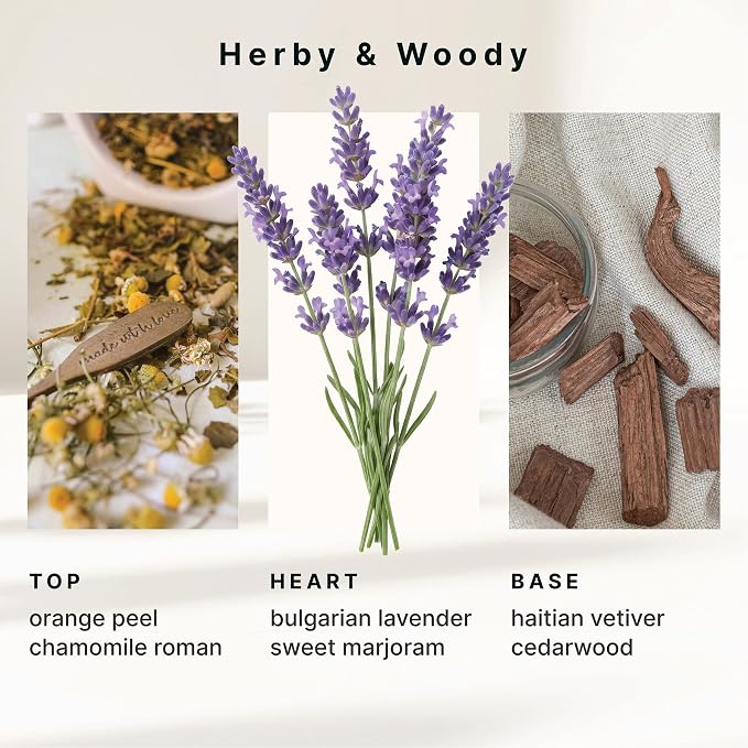 Homedics SereneScent Wellness Oil Refill for Waterless Diffusers, Lavender & Chamomile, 15ml Plug & Play Fragrance Oil Bottle, Aromatherapy Scent Refill for Home, Office, Bedroom, Compact Diffusers