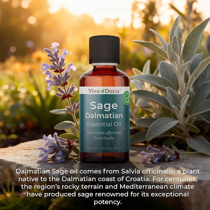 Viva Doria Sage Essential Oil, 100% Pure, Natural, Dalmatian Sage Essential Oil, Undiluted, for Aromatherapy | Food Grade, 30 mL (1 Fluid Ounce)