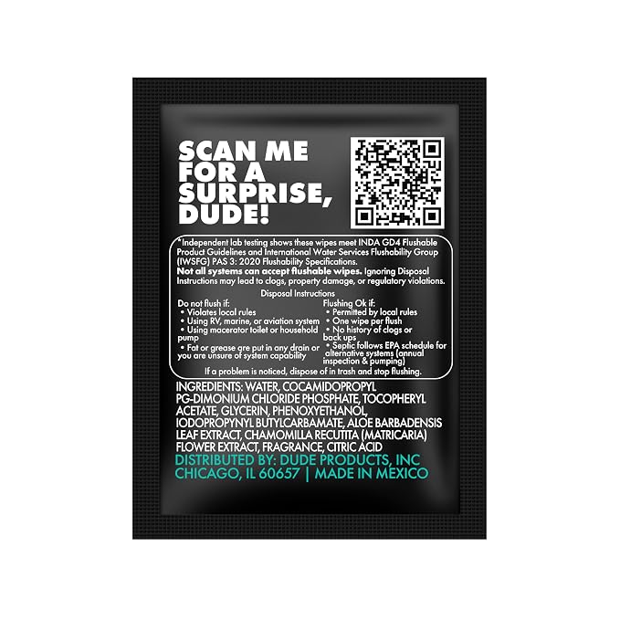 DUDE Wipes On-The-Go Mint Chill Travel Wipes-Extra-Large Adult Flushable Wipes - Infused with Tea Tree Oil, Vitamin E, and Aloe - Septic and Sewer Safe,30 Count (Pack of 4)