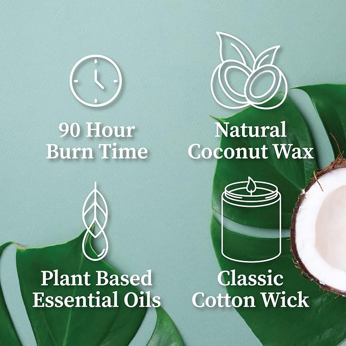 Hemlock Park Smoked Palo Santo Apothecary Scented Candle | Crackling Wood Wick, Botanical Fragrance & Coconut Apricot Wax | Up to 80 Hour Burn Time | 16 oz | Made in USA