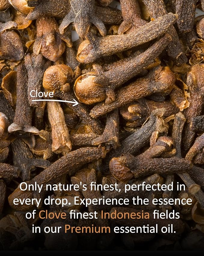 Pure Clove Essential Oil – 100% Natural 4 fl oz (120 ml) for Diffuser, Home Fragrance, DIY Candles, Soap, Sprays, Seasonal Aromatherapy & Holiday Gift – Warm Spicy Scent