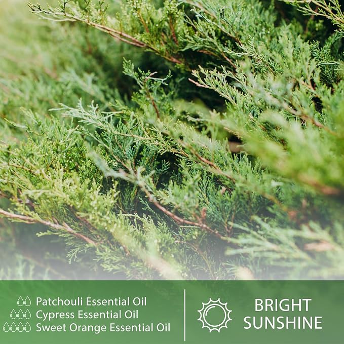 Cypress Essential Oil, 1.01Fl.Oz (30ML) PHATOIL Pure Essential Oil Singles for Aromatherapy Diffusers, Humidifiers, Great for DIY Candle and Soap Making, Gift for Friend