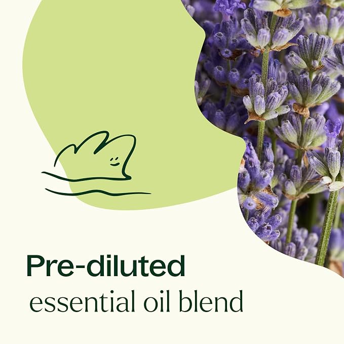 Plant Therapy Blissful Dreams Essential Oil Blend, Relaxation While Supporting Quality Rest, Grounding & Soothing, Bedtime Aroma, 10 mL (1/3 oz) 100% Pure, Pre-Diluted Roll On, Natural Aromatherapy