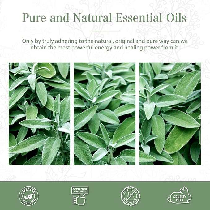 PHATOIL 3.38FL.OZ Clary Sage Essential Oil for Aromatherapy Diffusers with Glass Dropper, Humidifiers, Great for DIY Candle and Soap Making, Huge 100ML Bottle