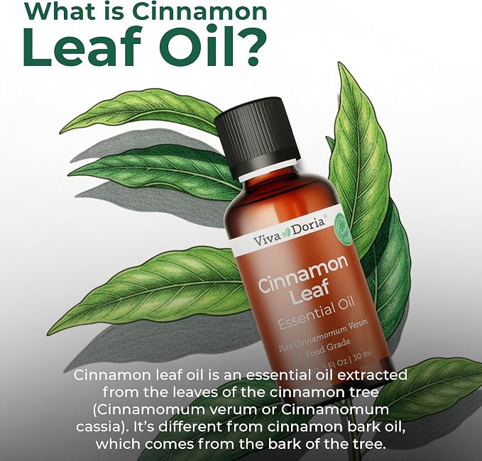 Viva Doria Cinnamon Leaf Essential Oil, 100% Pure, Natural Cinnamon Essential Oil, Undiluted, for Aromatherapy | Food Grade, 30 mL (1 Fluid Ounce)