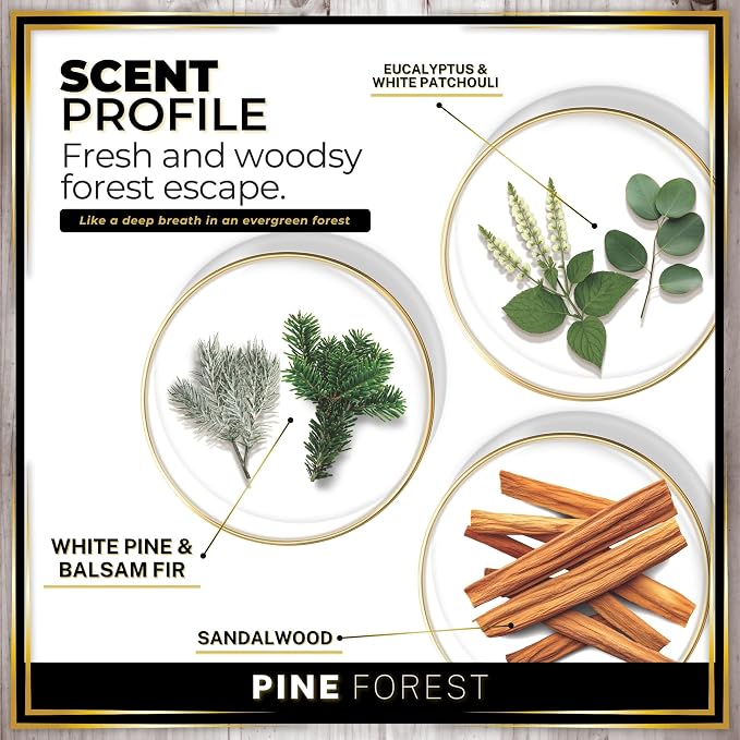Urban Naturals Car Air Freshener Pine Forest Scent Diffuser, Long Lasting Car Fresheners Made in USA, Odor Eliminating Technology, Hanging Auto Accessories + Vent Clip (1 Pack)