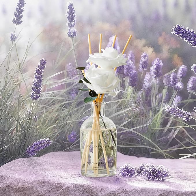 COCORRÍNA Reed Diffuser - Eucalyptus Lavender Scent, 6.76 fl oz Essential Oil with 8 Reed Sticks - Home Fragrance for Bedroom Bathroom Shelf Décor