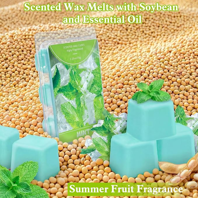 STRN Wax Melts, Soy Wax Cubes 6 Scents Mint, Watermelon, Mango, Passion Fruit, Pineapple & Strawberry, Summer Fruit Scented Long-Lasting Home Fragrance for Wax Warmers, Yoga, 1.25 OZ * 6 Packs