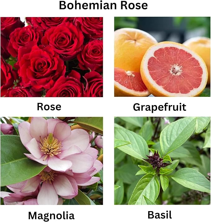 Bohemian Rose Scented Candle Fresh Floral Aroma with Rose Magnolia Patchouli Natural Coconut Wax Long-Lasting Non-Toxic Eco-Friendly Home Office Decor Relaxation Handcrafted Luxury (5 oz.)