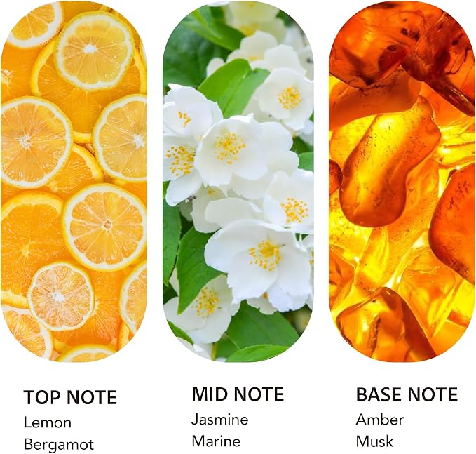 Luxury Hotel Scent Ritz Carlton Diffuser Oil 500ml/16.9Fl Oz Long-Lasting Essential Oil Refill for HVAC Systems, Home & Spa Use l Waterless Essential Aromatherapy