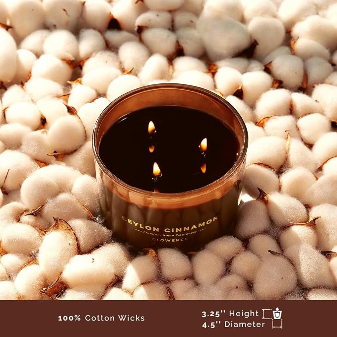Luxury Cinnamon Scented Fall Candle - Housewarming Fall & Christmas Candle for Home - Elegant Gift for Women & Men - 100% Natural Soy Wax - Large 3 Wick Jar Candle - Up to 40 Hours Burning Time