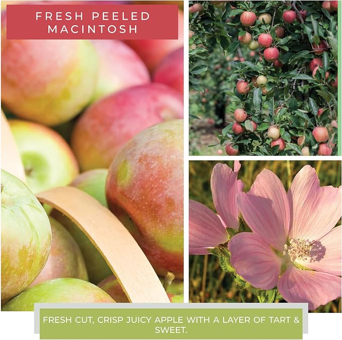 A Cheerful Giver — Fresh Peeled Macintosh - 34oz Papa Scented Candle Jar with Lid - Keepers of the Light - 155 Hours of Burn Time, Gift Candle, White
