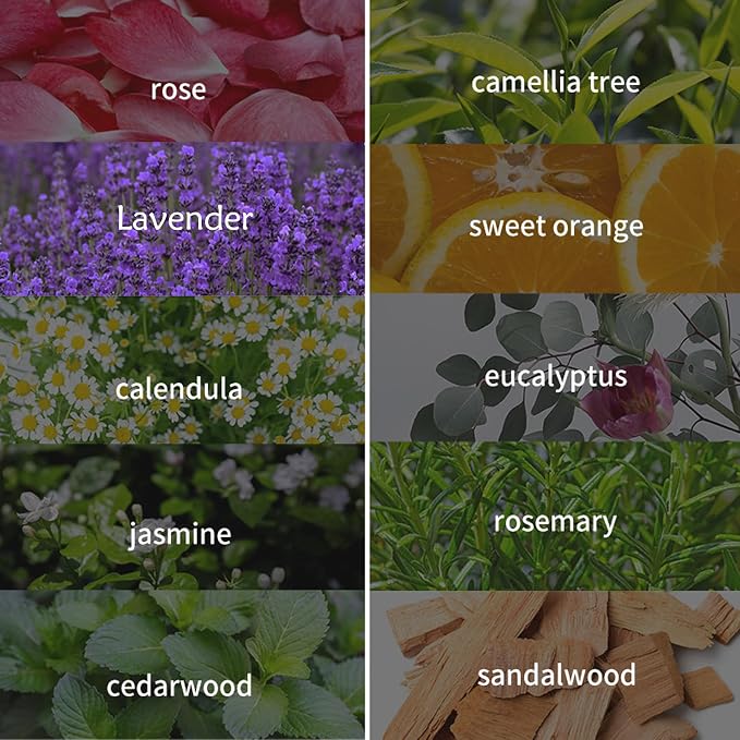 Essential Oils Set,Top 5 Blends for Diffusers, Candle Making Scents, Home Products, Fragrance, Aromatherapy, Humidifiers, Gifts - Lavender, Tea Tree, Orange,Sandalwood,Peppermint (10mL)