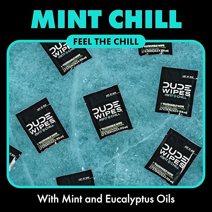 DUDE Wipes On-The-Go Mint Chill Travel Wipes - 2 Pack, 60 Count (Individually Wrapped) - Extra-Large Adult Flushable Wipes - Infused with Tea Tree Oil, Vitamin E, and Aloe - Septic and Sewer Safe