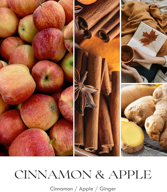 AOOVOO Apple Cinnamon Candle - 9 oz Scented Candles, Aromatherapy Candle, Soy Candle for Home Scented