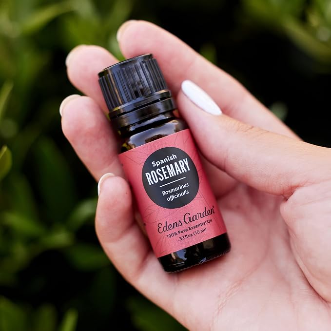 Edens Garden Rosemary- Spanish Essential Oil- 100% Pure Premium Grade, Undiluted, Natural, Therapeutic, Aromatherapy, The Best for Candle, Laundry, Humidifiers 10 ml (.33 fl oz)