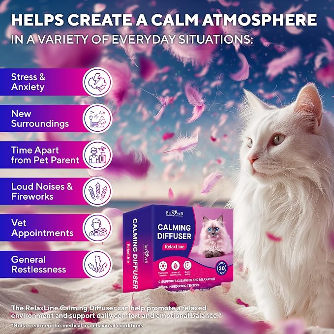 Beloved Pets Cat Calming Diffuser & Pet Anti Anxiety Products - Feline Calm Pheromones Plug in & Cats Stress Relief Comfort Helps with Pee, New Zone, Aggression (2 Pack (2 Diffusers + 2 Refills))