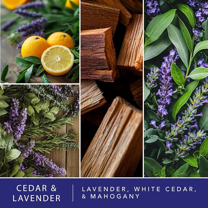 ScentSationals Cedar & Lavender Scented Wax Melts - Lavender, White Cedar, & Mahogany, 10oz (24 Cubes)